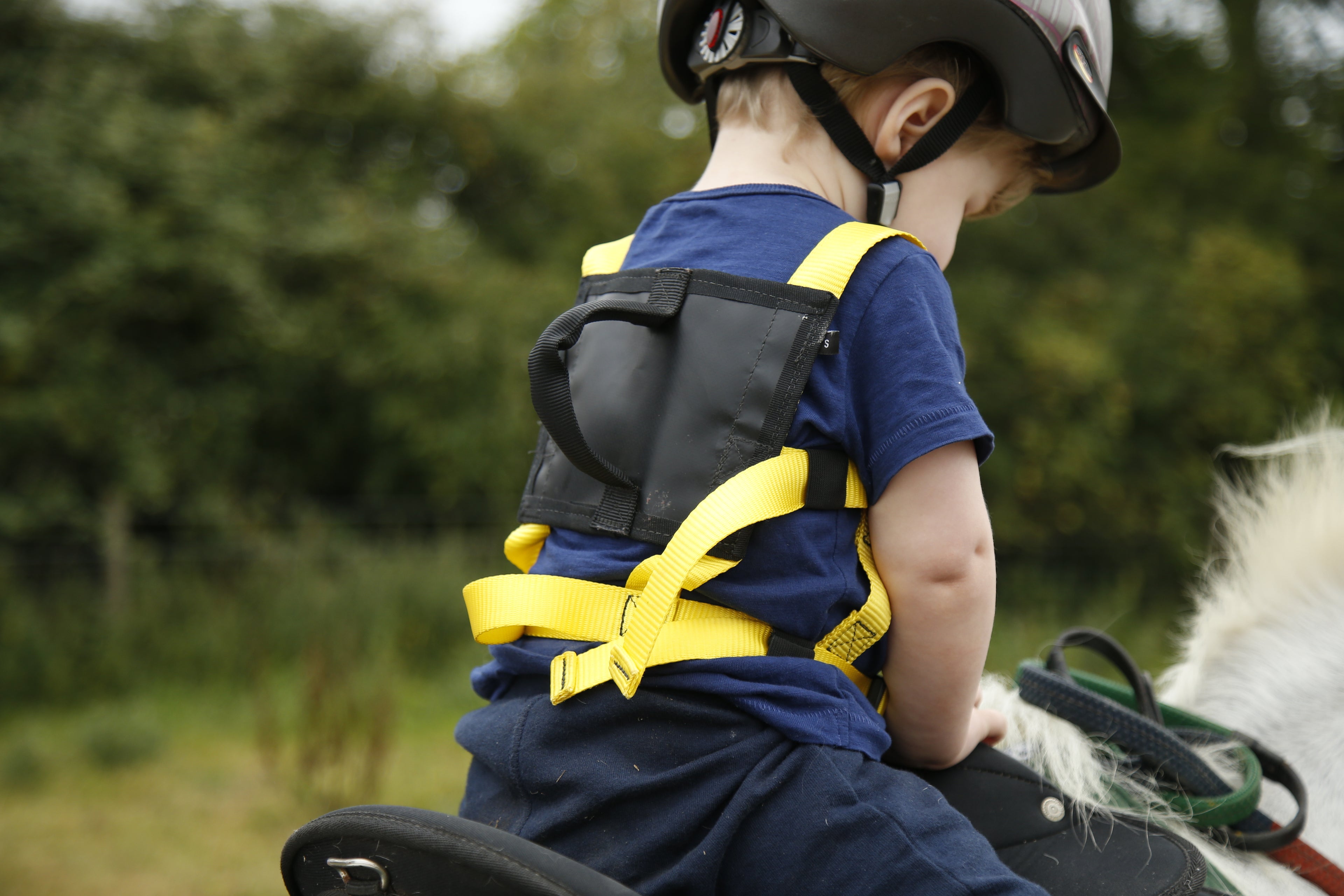 Equihandee Original Harness