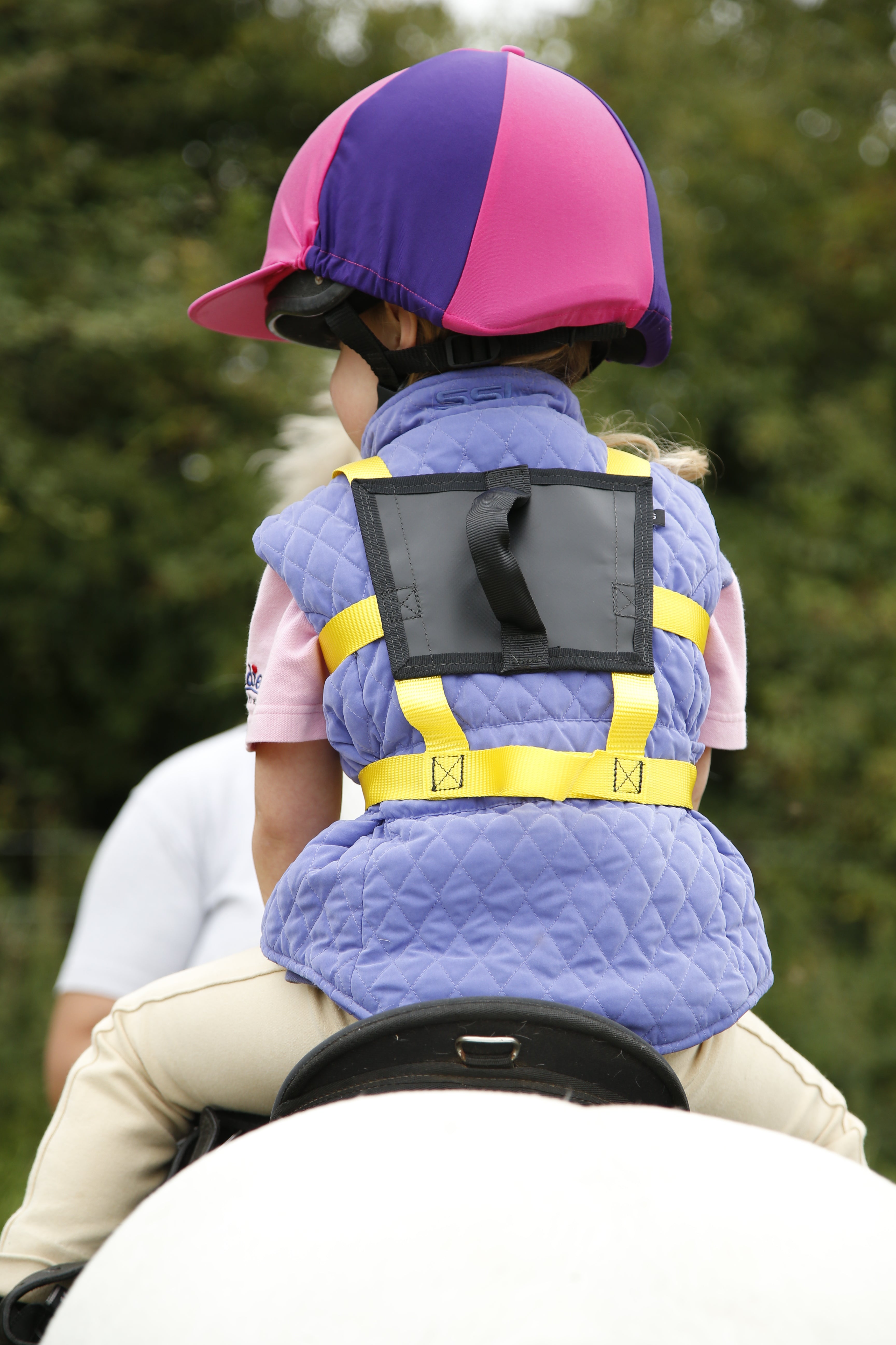 Equihandee Original Harness