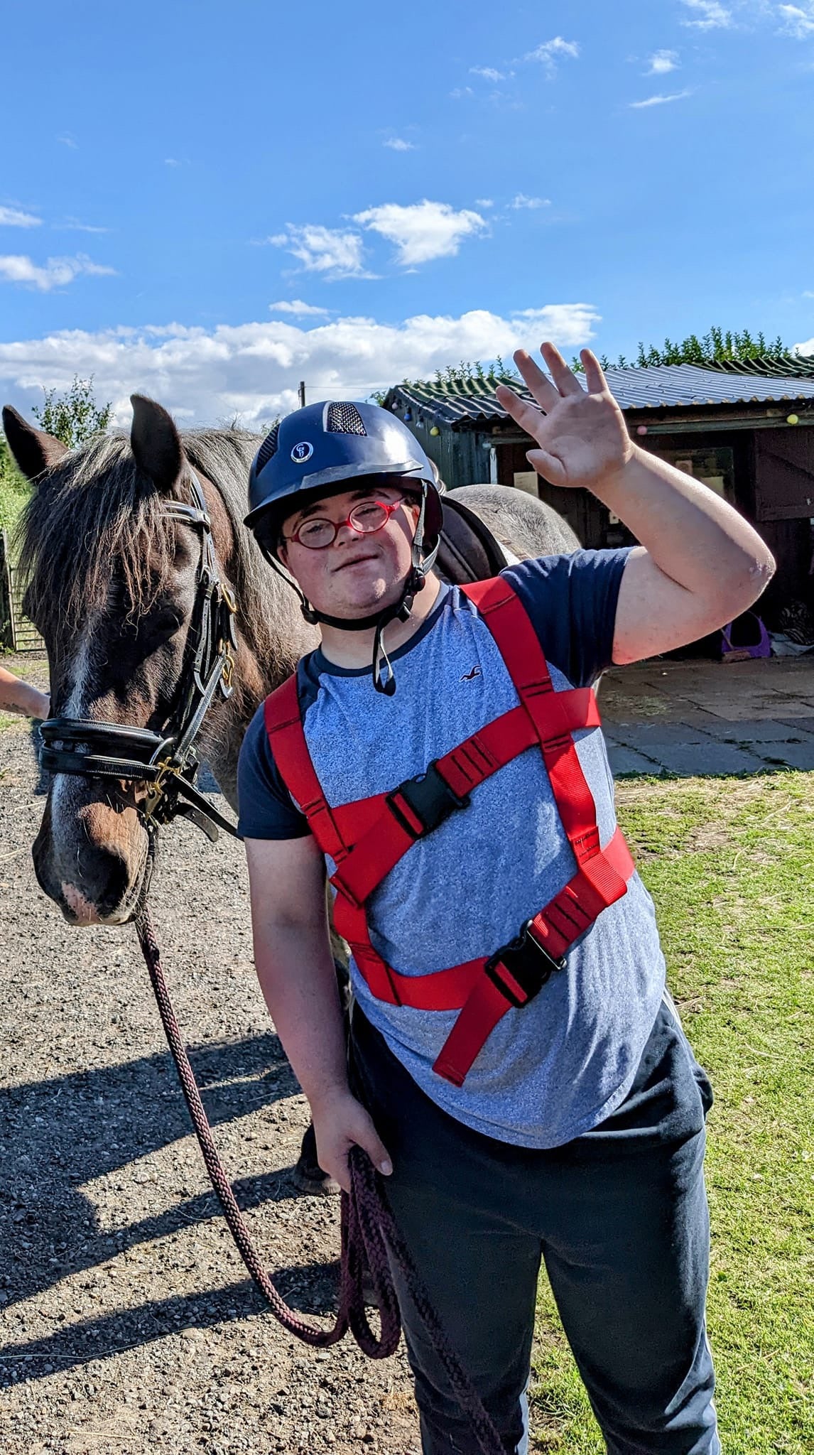 Equihandee Harness - Large
