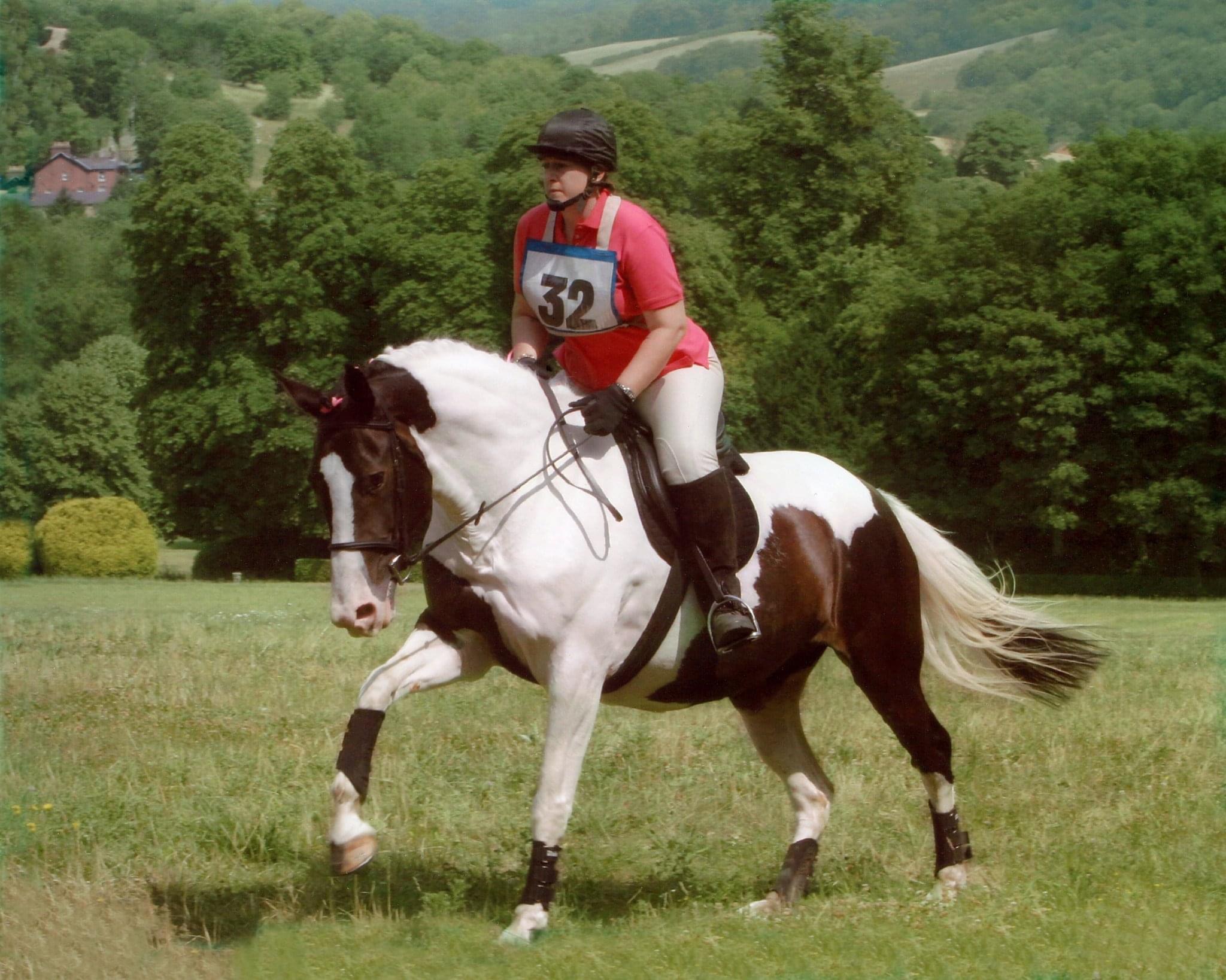 Black and white horse cantering with lady rider in Pink top and beige jodphurs