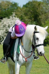 white pony with young rider leaning over horses neck whilst in the saddle with pink and purple hat silk