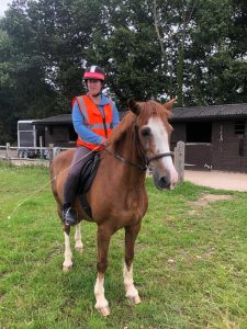 woman with orange Hi Viz sitting on brown horse with which face and legs