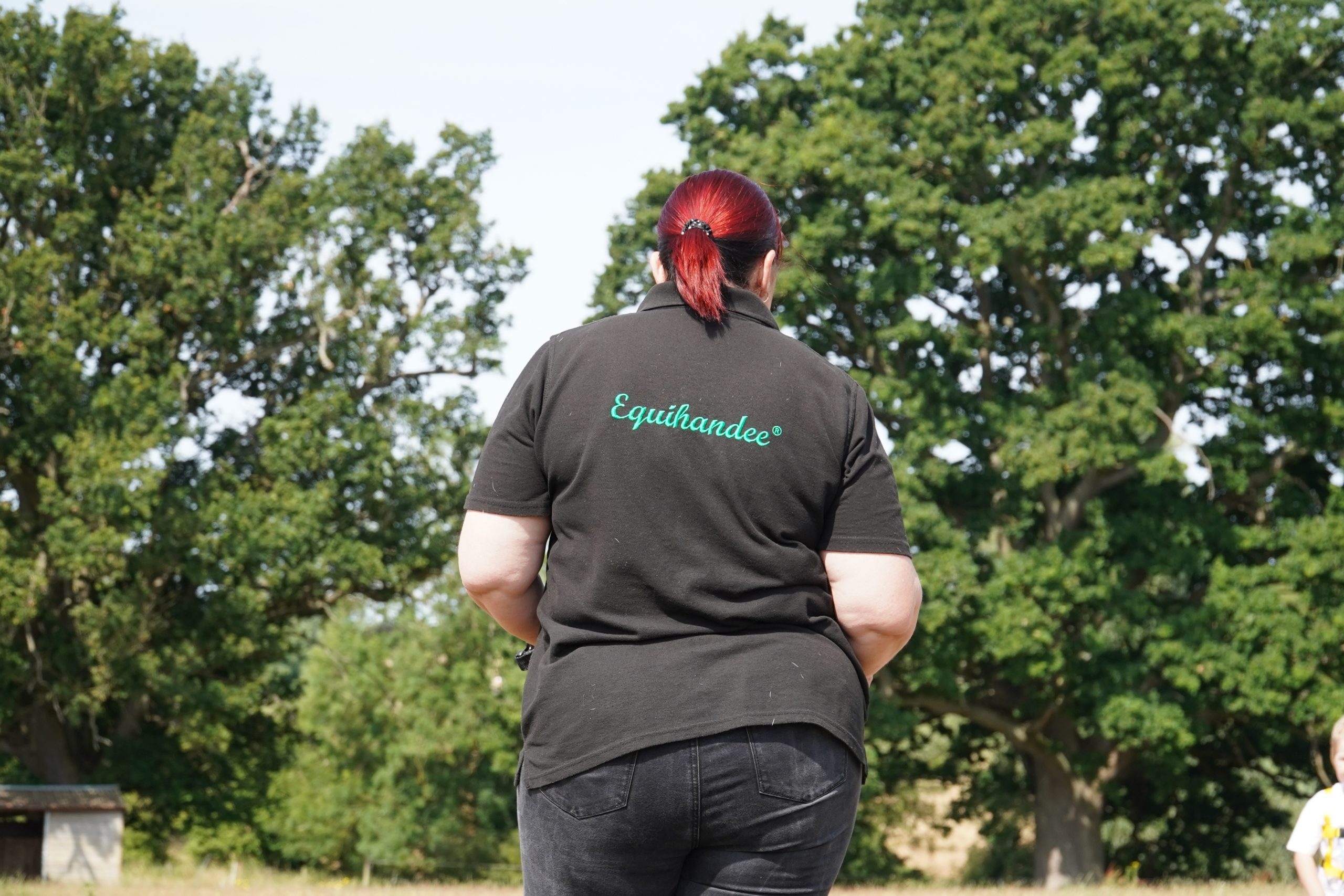 Behind the Scenes of Running a Horse-Related Business: Reality vs Expectations